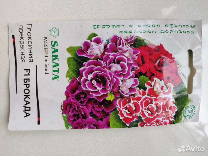 Глоксиния махровая. Лист на посадку