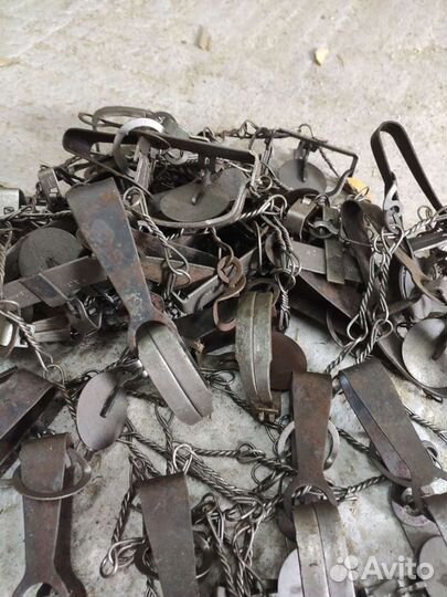 Приспособление для контроля популяции крыс и др