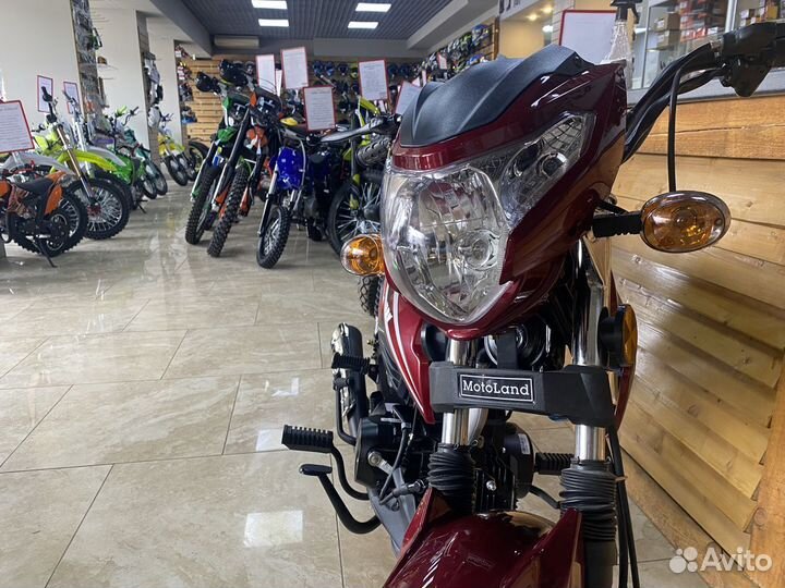 Мопед Альфа RF11 110cc