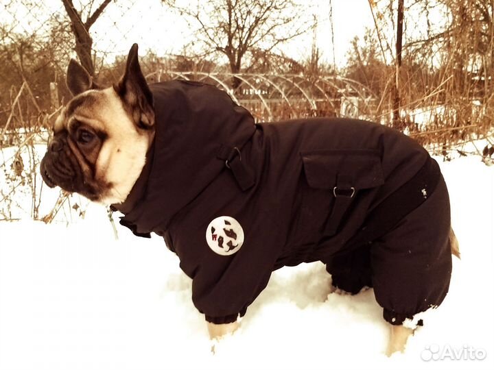 Зимний комбинезон для собак