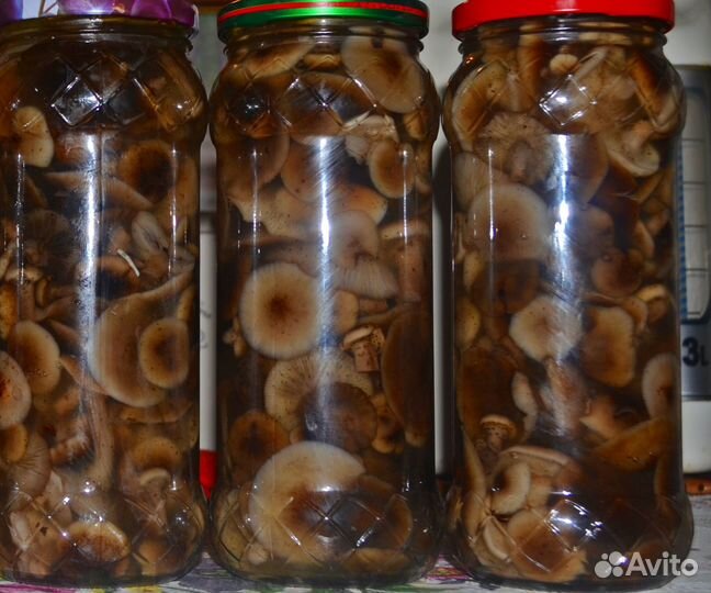 Грибы маринованные Серые+Боровики,Опята