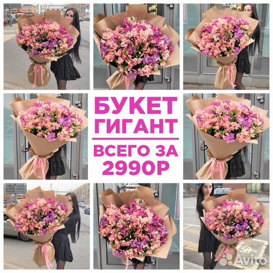 WOW Букеты из Свежих Альстромерий. Доставка