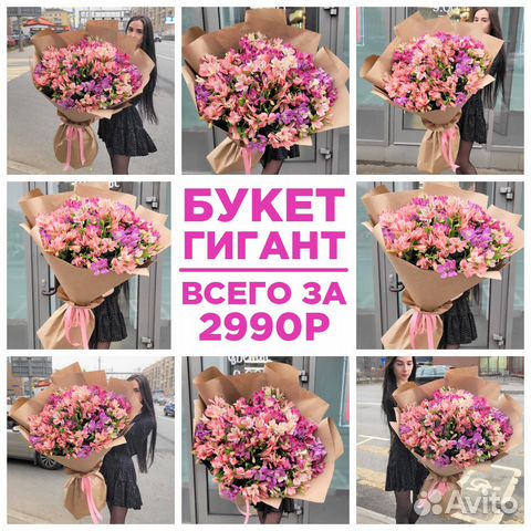 WOW Букеты из Свежих Альстромерий. Доставка