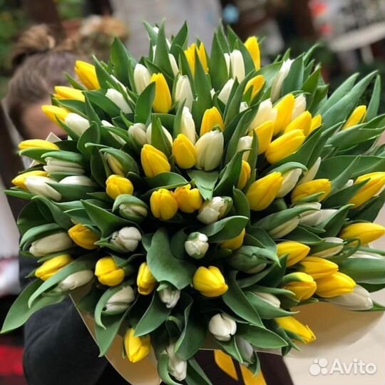 Тюльпаны цветы