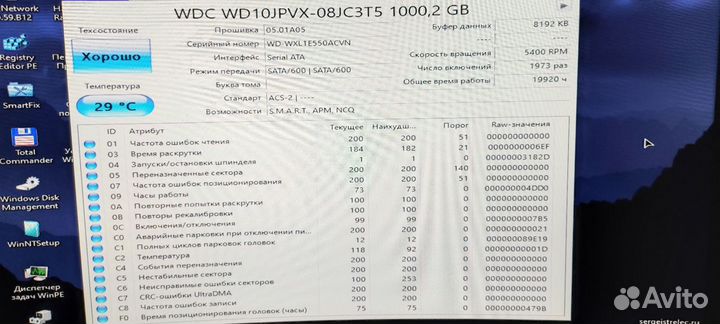 Hdd 1 tb wd blue