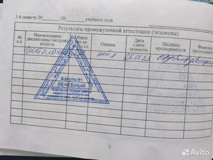 Репетитор по гистологии