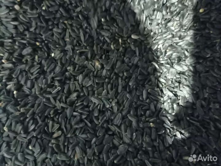 Семечки (подсолничник)