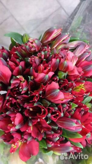 Цветы букеты с доставкой