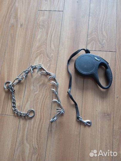 Строгий ошейник, поводок