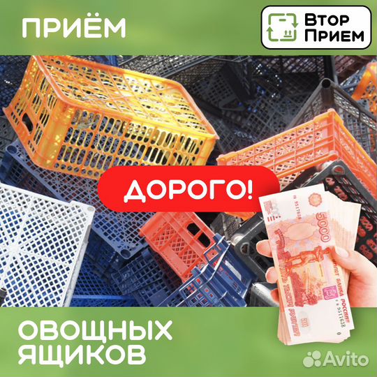 Овощные ящики покупаем