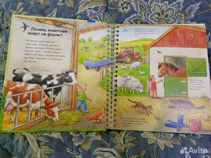 3+ Интерактивные книги, Мир животных, Время и часы