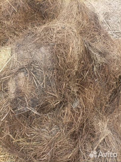 Перегной козьий