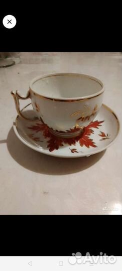 Чайный сервиз вербилки барбарис