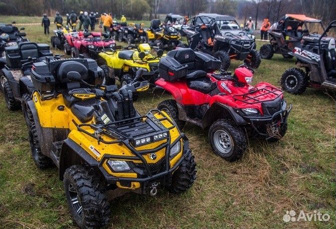 Квадроциклы promax в наличии
