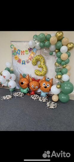 Аниматор город Обь