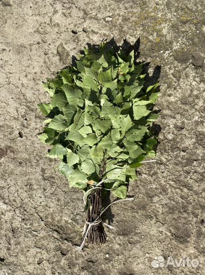 Веники для бани