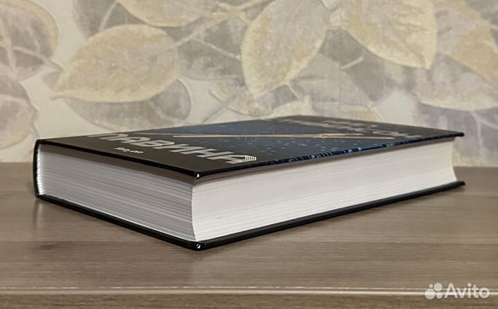 Нил Стивенсон. Лавина