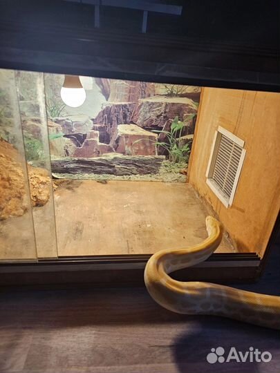 Террариум для ящериц и небольших змей