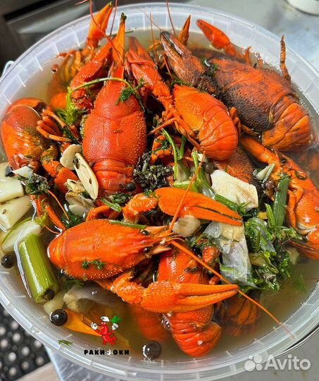 Раки вареные волжские