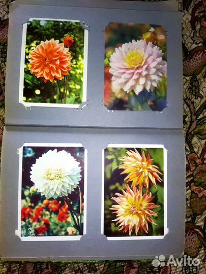 Открытки СССР