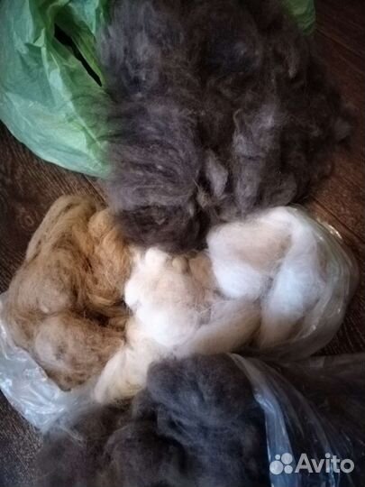 Шерсть собачья, чау, кавказская овчарка