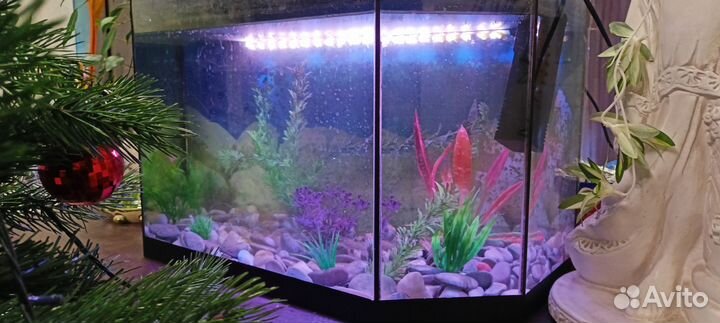 Украшение для аквариума Аквариум 80 л