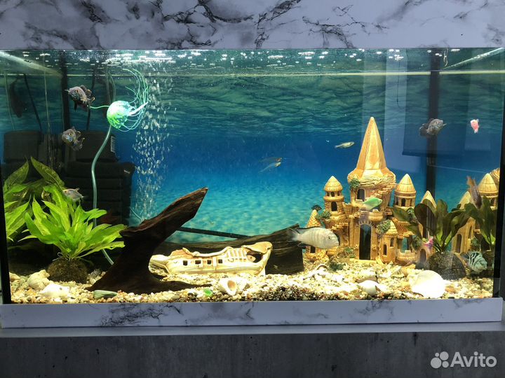 Аквариум 180 литров