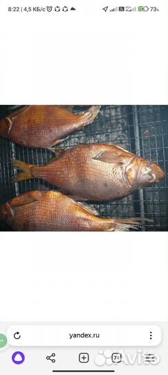 Лещ свежий и копчёный