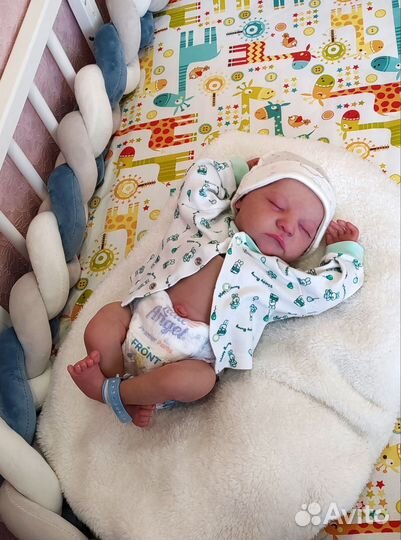 Реборн Леви