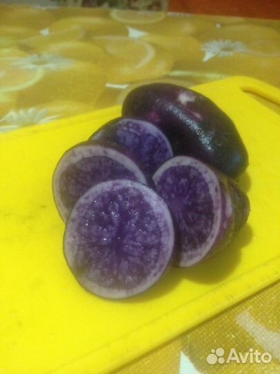 Картофель фиолетовый на посадку