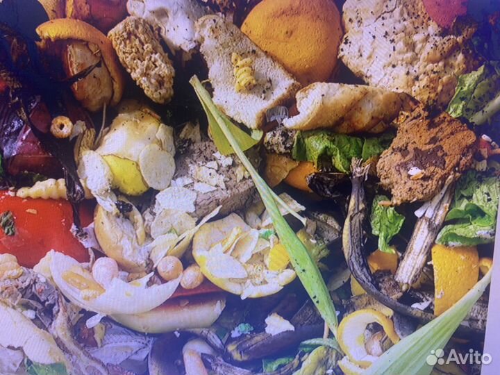 Пищевые отходы