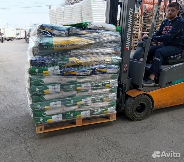 Семена подсолнечника гибрид мария ими (Евролайтинг