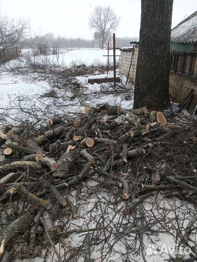 Дрова бесплатно