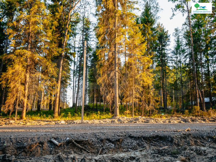 Участок 6,6 сот. (СНТ, ДНП)