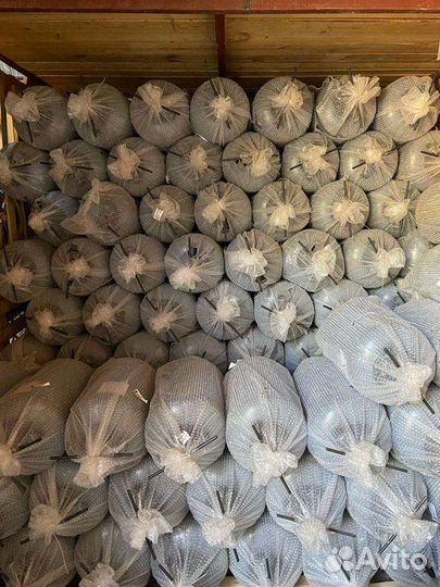 Автоклав, консерватор, стерилизатор