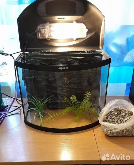 Аквариум
