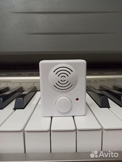 Подарок музыкальная игрушка (звуковой модуль)