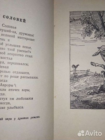 И. А. Крылов. Басни. детгиз 1951 год