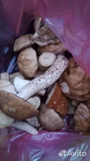 Подосиновики в наличии 2 кг. 800г.Лисички