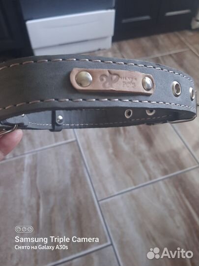 Ошейник для собак средних пород