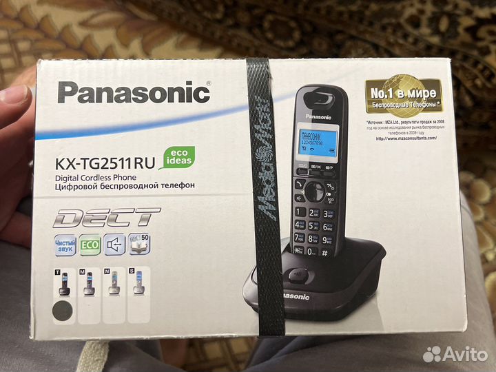 Panasonic