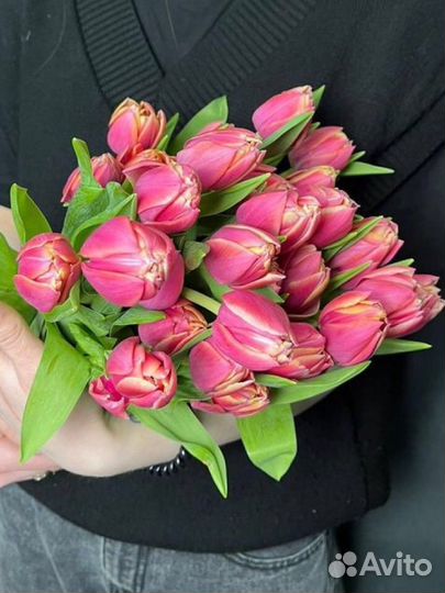 Тюльпаны к 8 марта