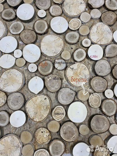 Спилы деревьев можжевельник,дуб,тополь
