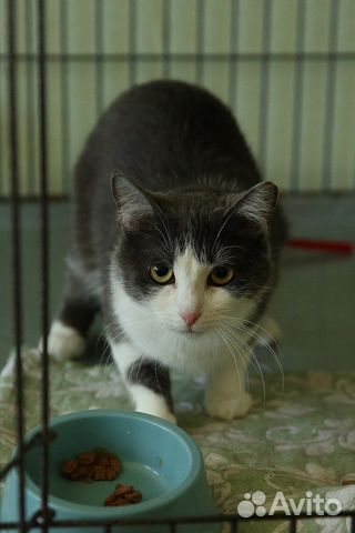 Марта очень хочет домой