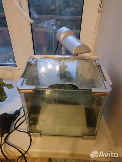Аквариум