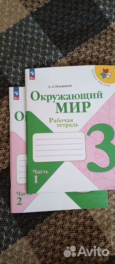 Рабочая тетрадь окружающий мир 3 класс