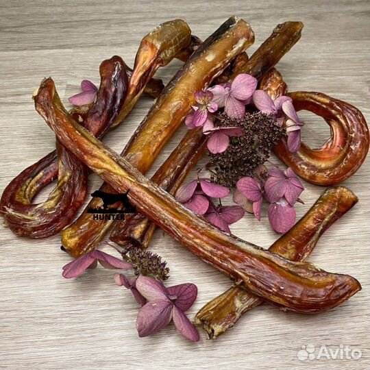 Лакомства для собак