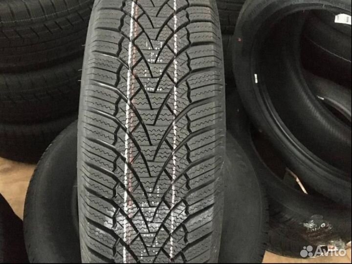 Arivo Winmaster ProX ARW3 175/70 R14 84T
