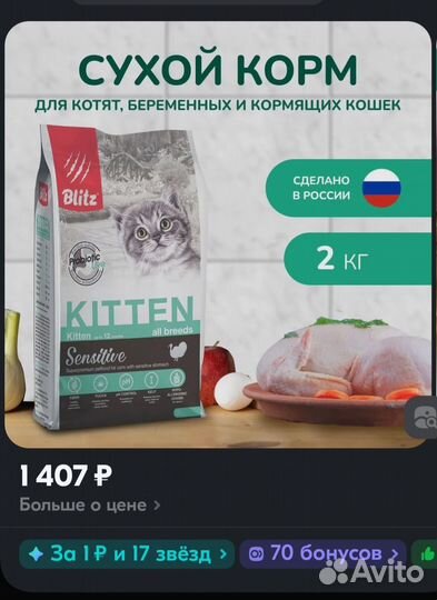 Сухой корм для котят