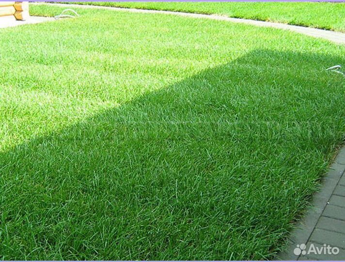 Рулонный газон стандартный под ключ